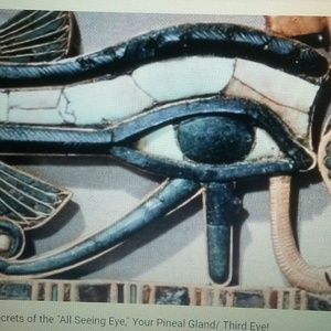 Brand T2G... Unisex Casual Shoulder Backack